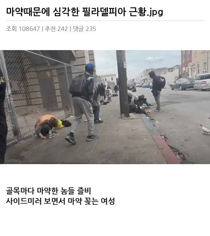 F2310267_2.webp