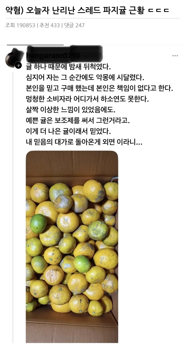 I2365512_2.webp