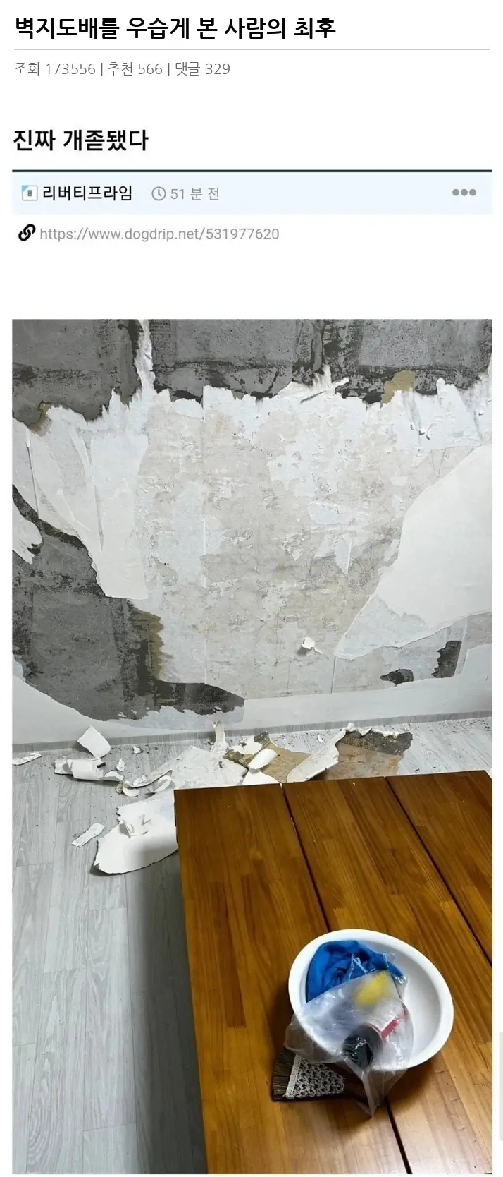 Y2350218_2.webp