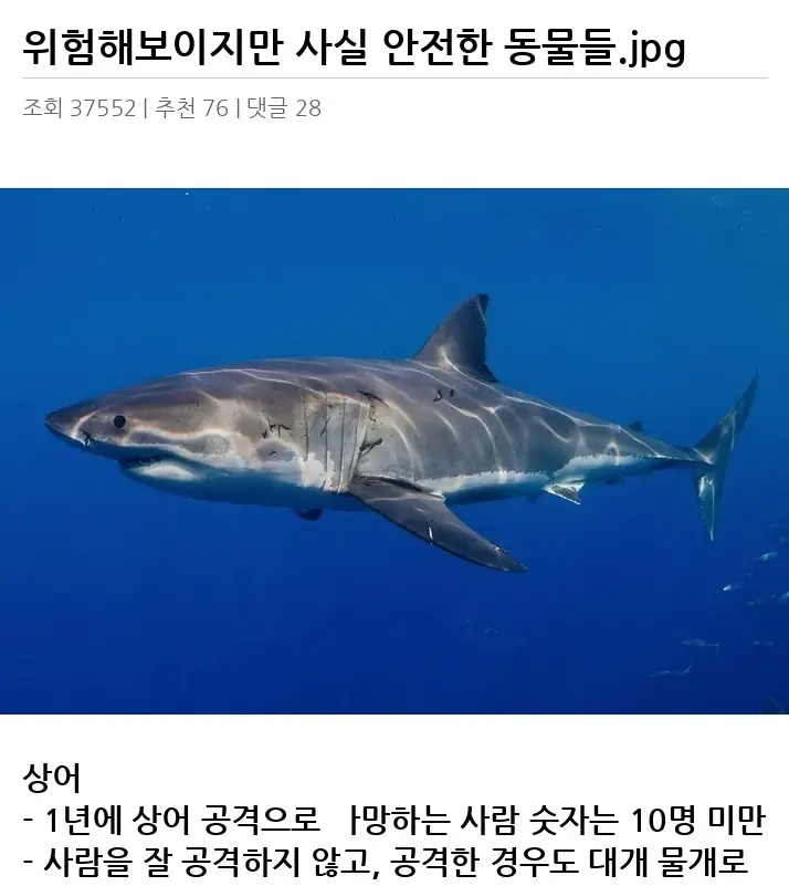 B2620898_2.webp