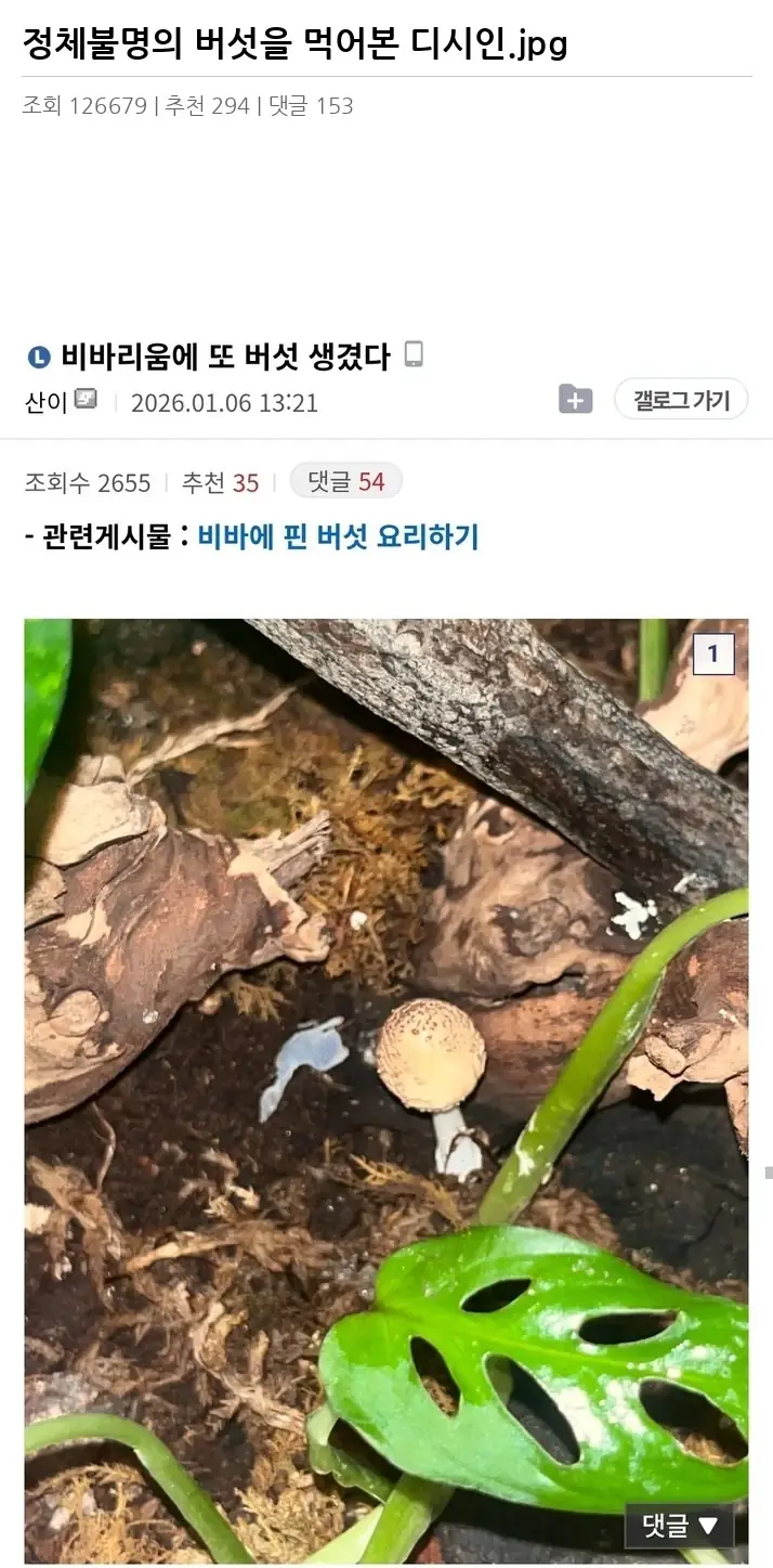 E2444062_2.webp