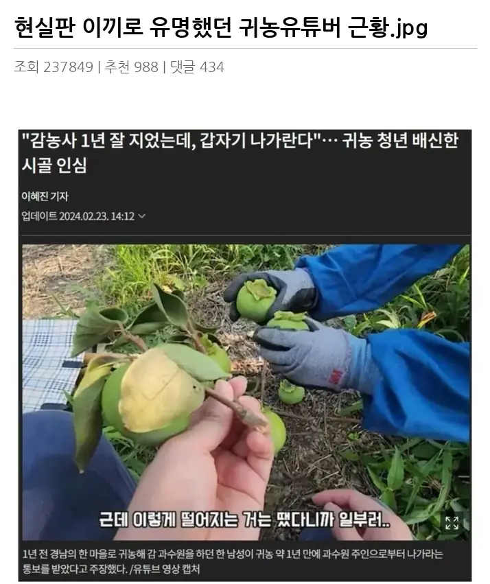 I2425987_2.webp