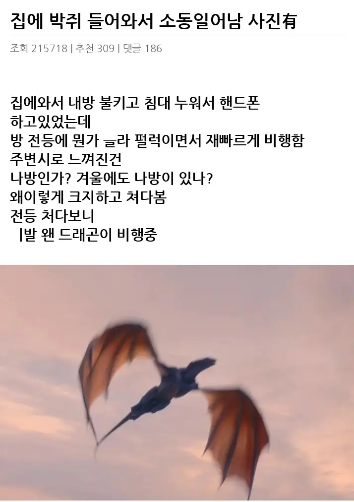 I2551759_2.webp