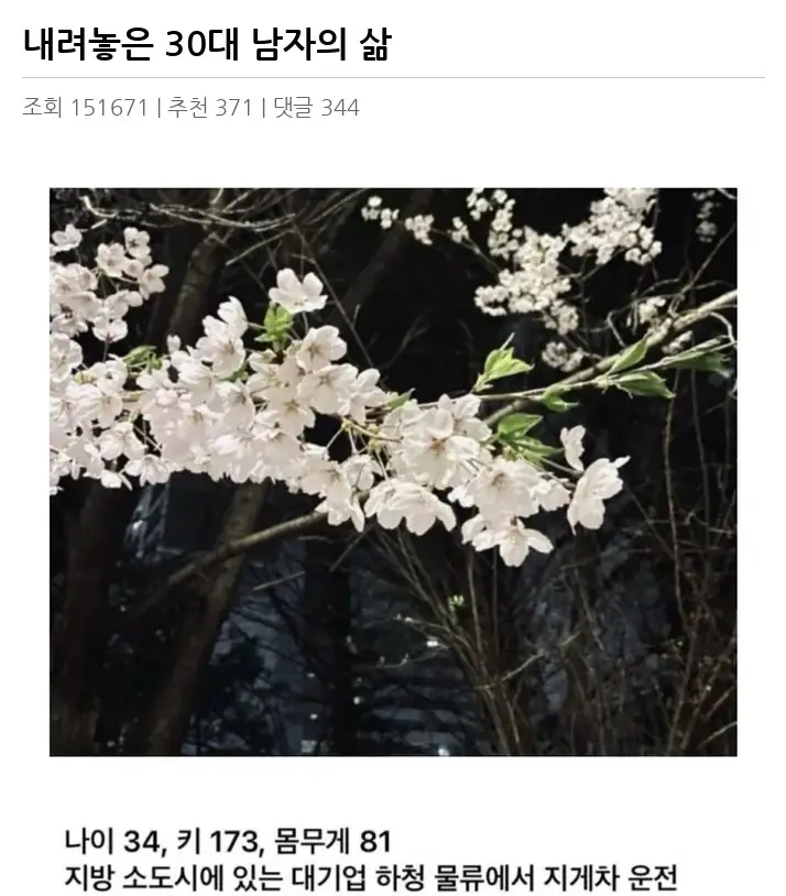 K2430282_2.webp