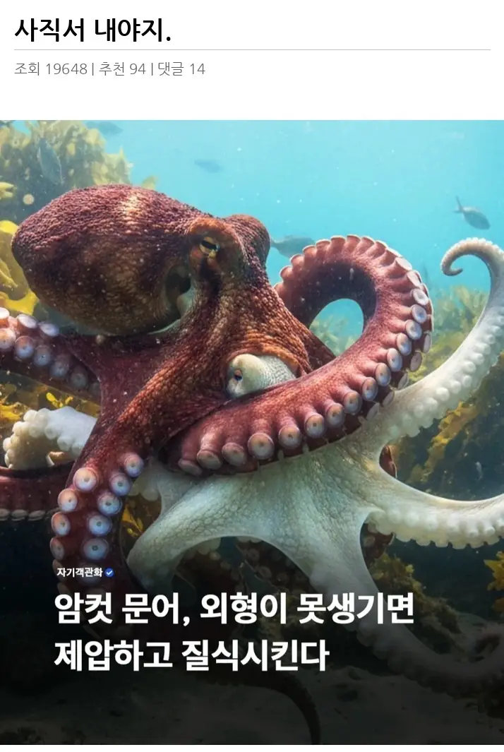 A2725994_02.webp