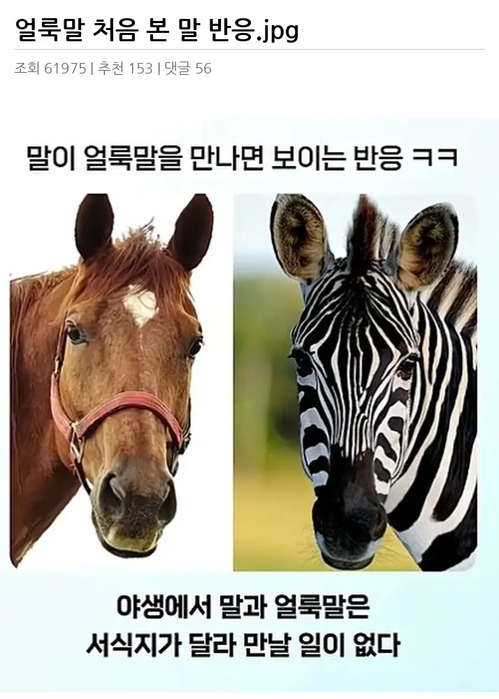 A2737654_02.webp