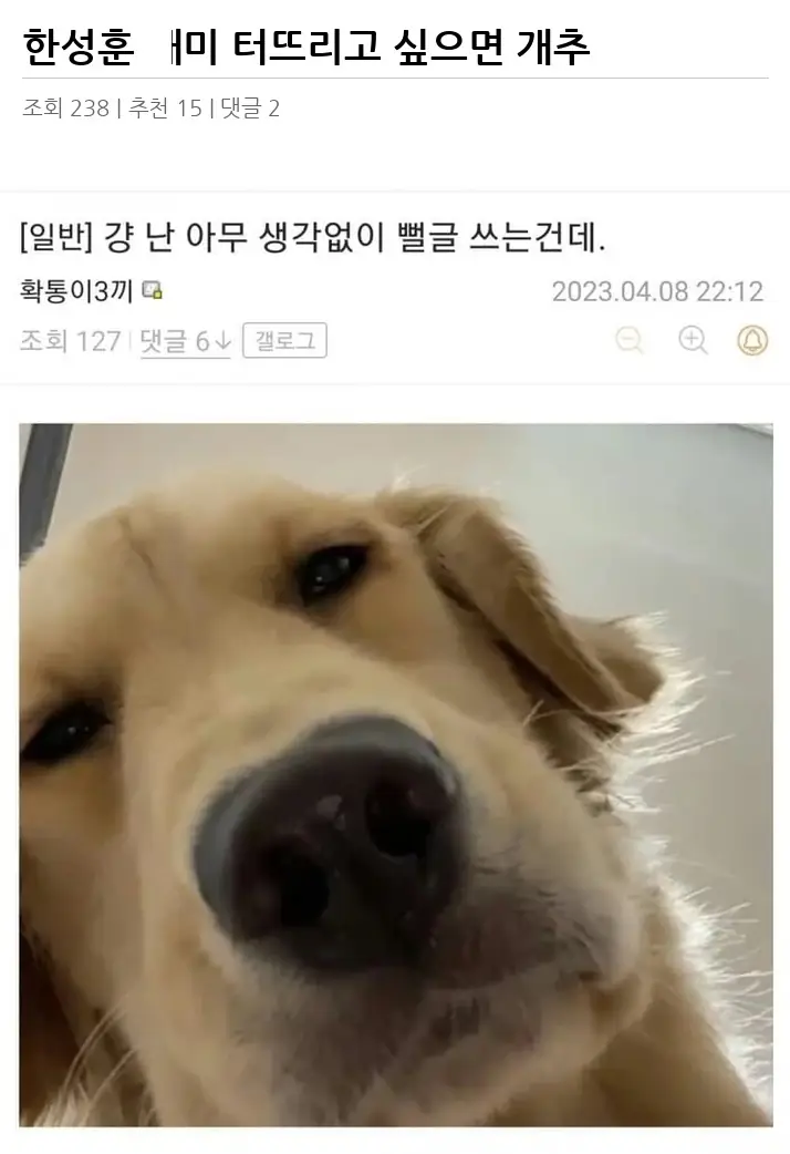 A2762777_02.webp