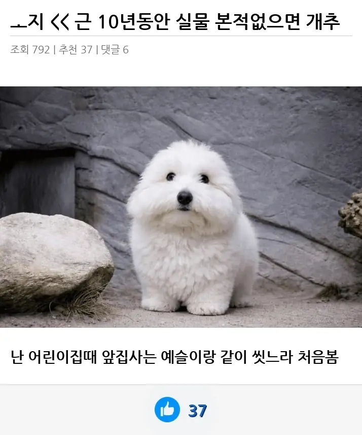 A2774980_02.webp