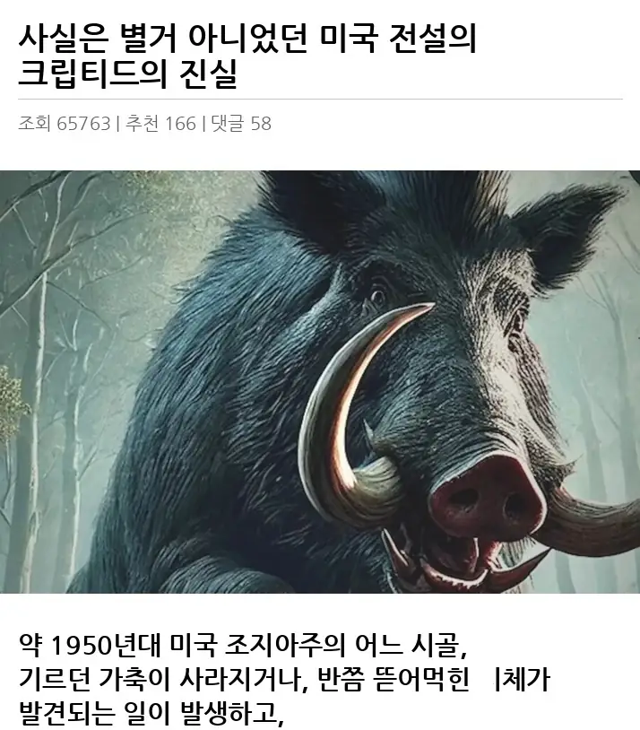 H2632465_2.webp