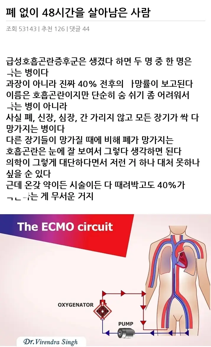 P2637544_2.webp