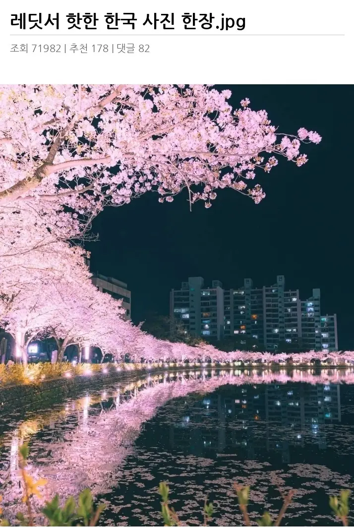 X2634352_2.webp