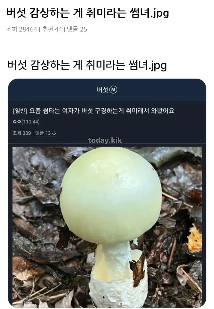 Y2691494_2.webp