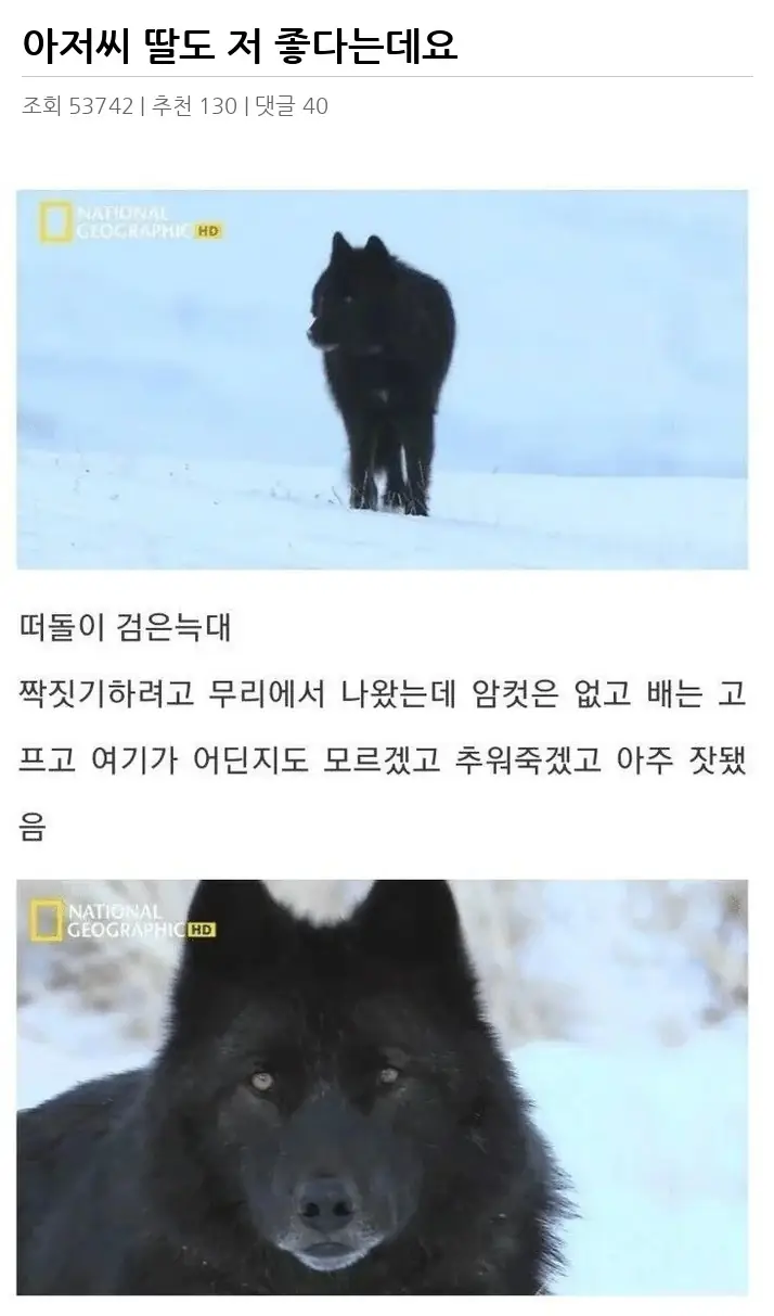 A2852096_02.webp