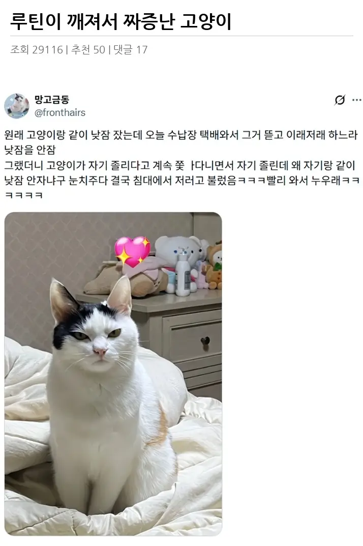 A2886571_02.webp