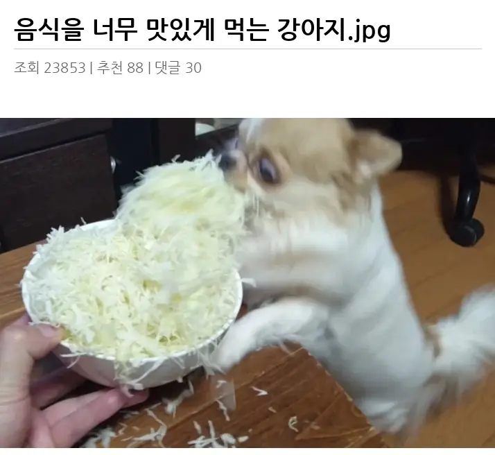 A2954522_02.webp
