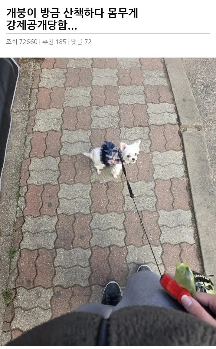A2964645_02.webp