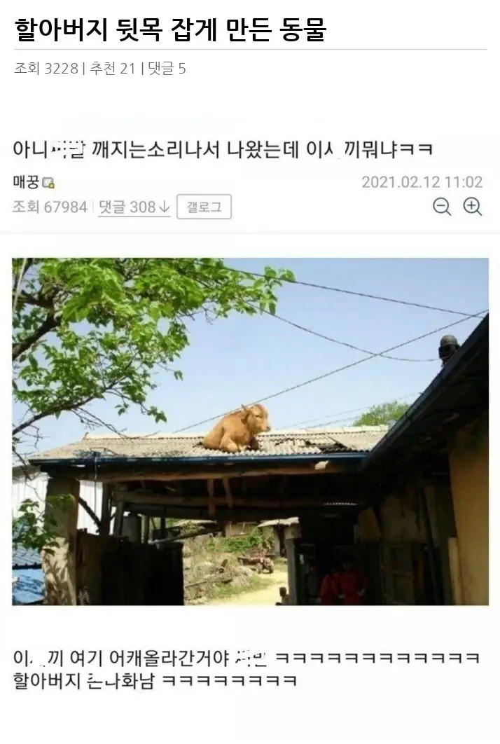 A3009418_02.webp