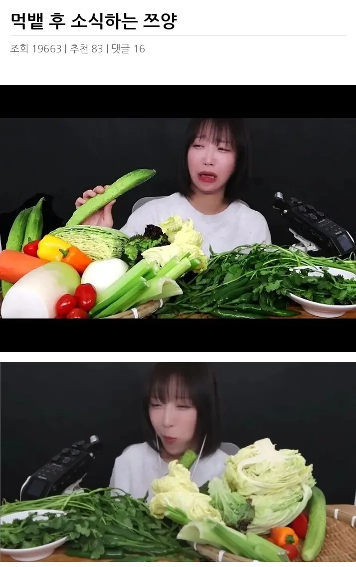 A3021239_02.webp