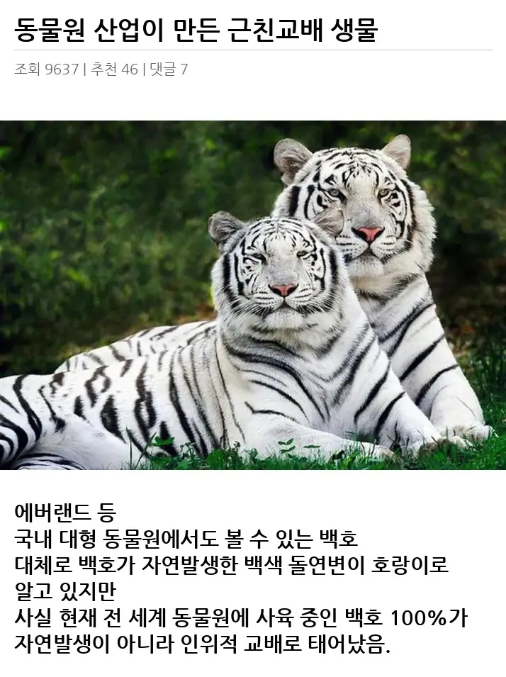A3102851_02.webp