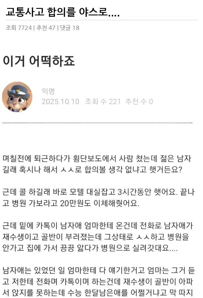 A3115521_02.webp