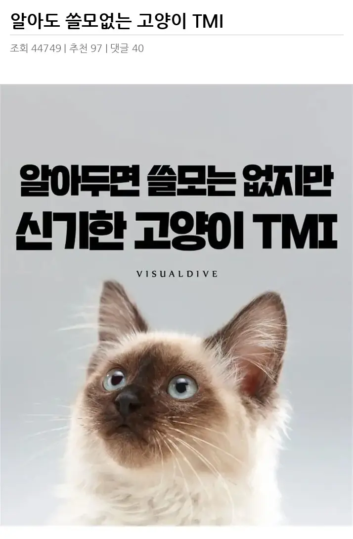 A3136373_02.webp