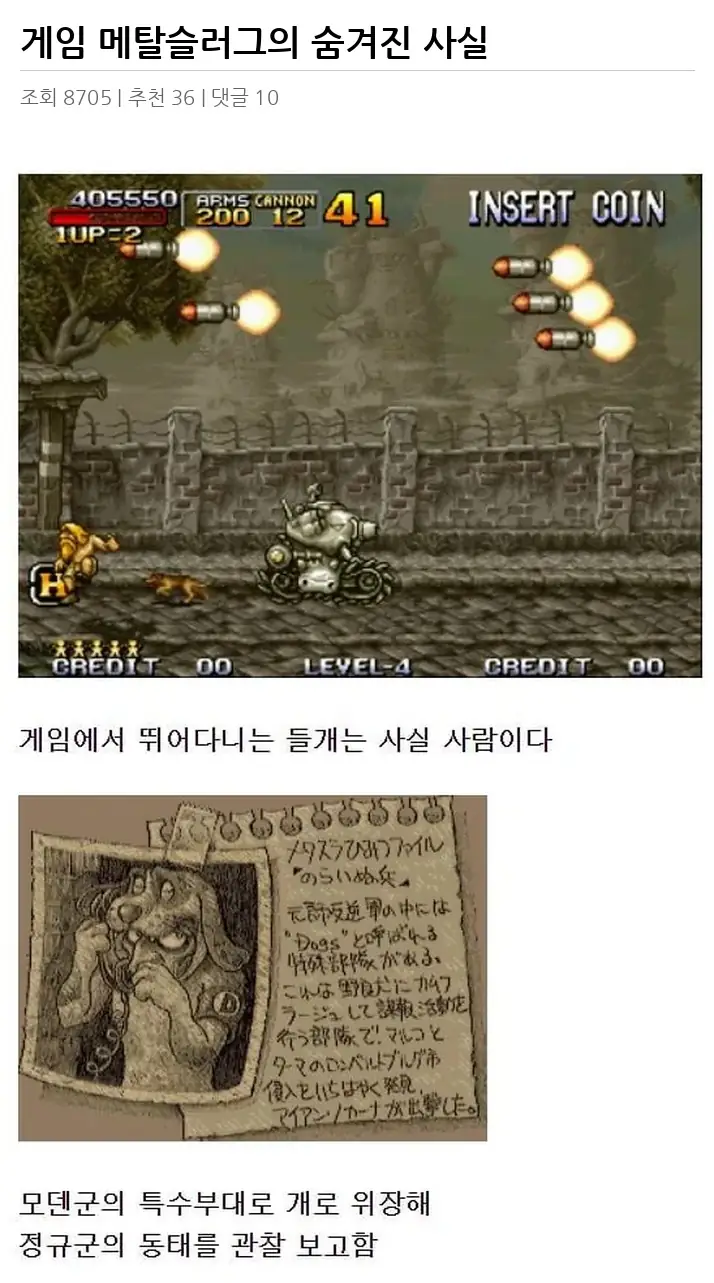 A3172045_02.webp