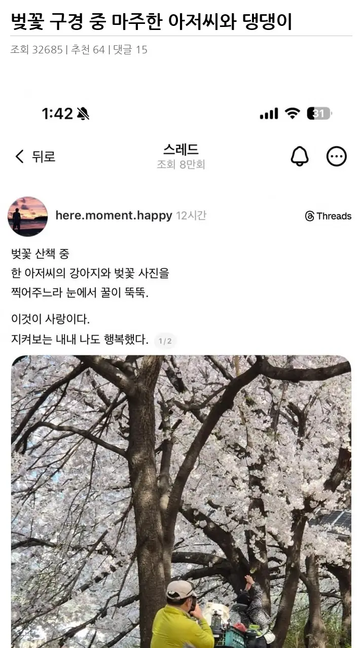 A3176685_02.webp