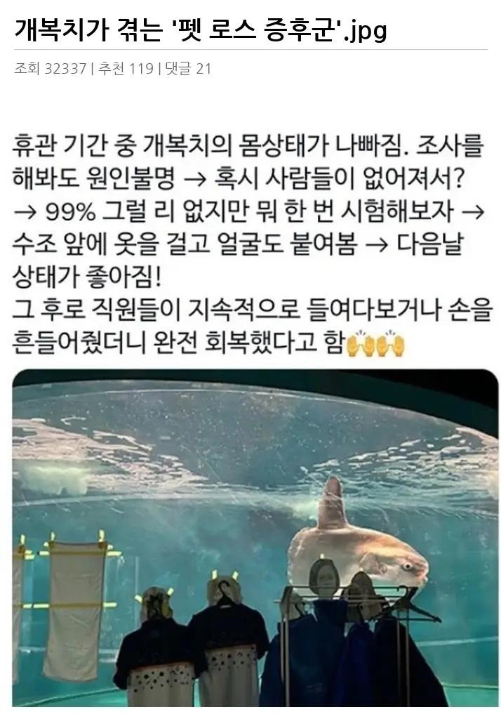 A3179139_02.webp