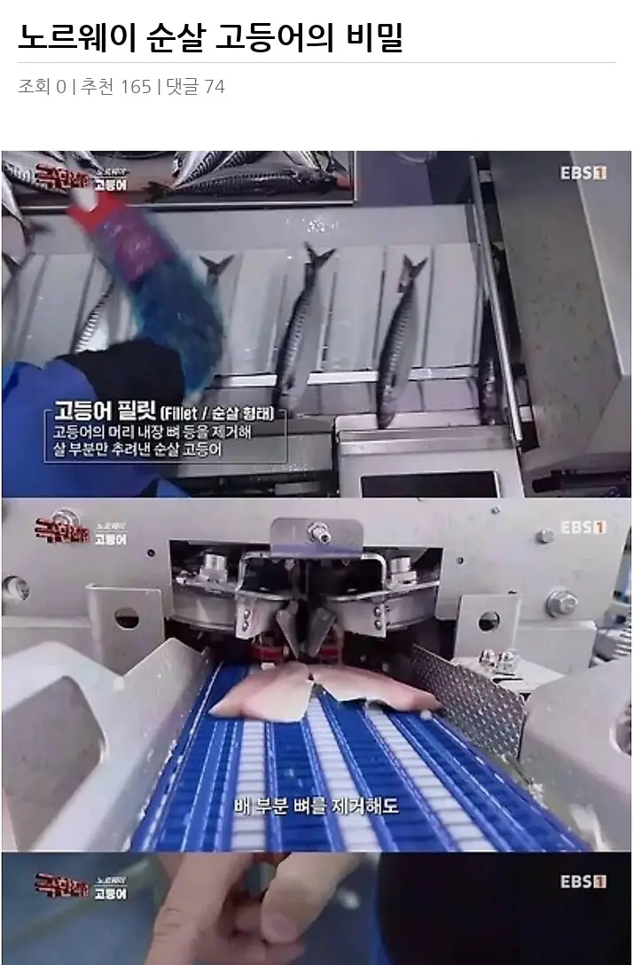 A3198438_02.webp