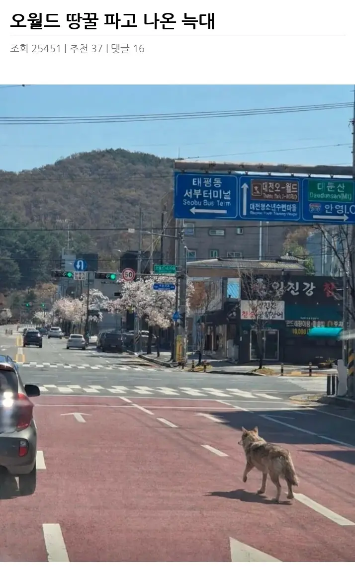 A3205927_02.webp