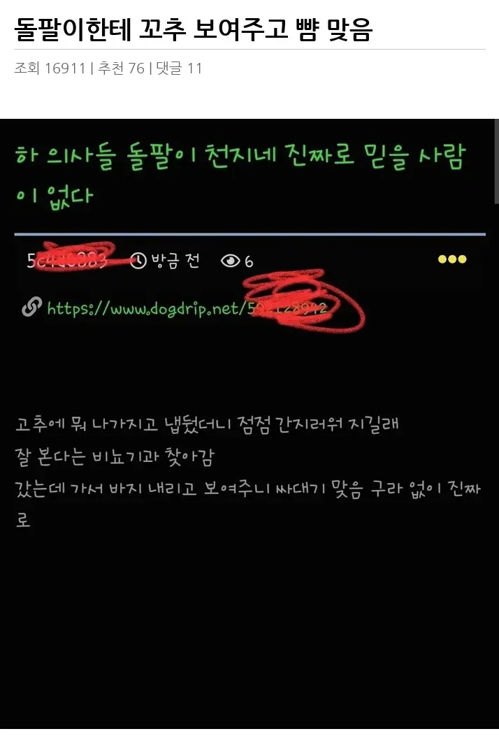 A3213497_02.webp