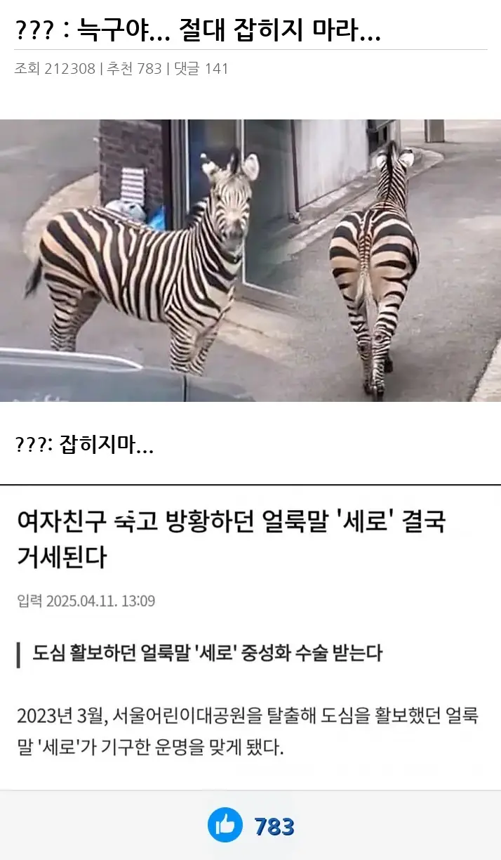 A3266913_02.webp