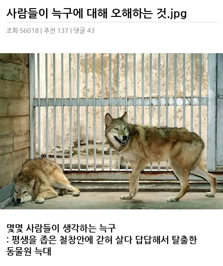 A3327208_02.webp