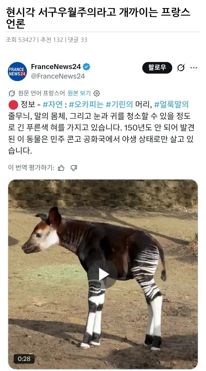 A3407829_02.webp
