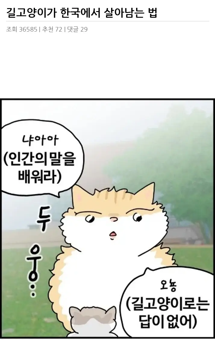 A3522113_02.webp